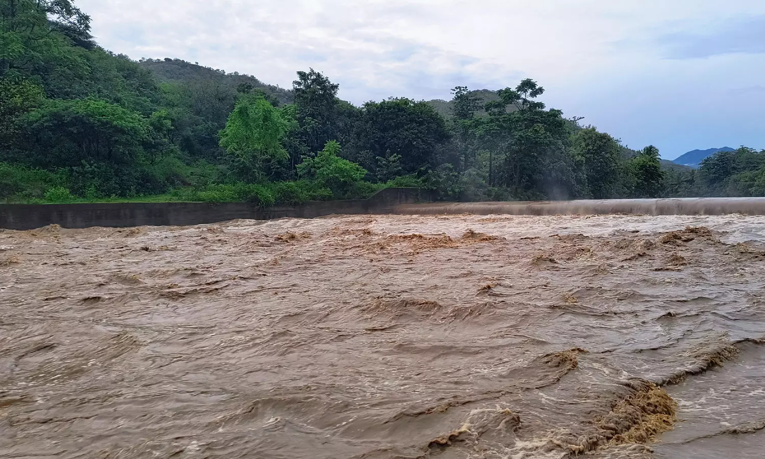 முழு கொள்ளளவை நெருங்கும் வைகை அணை நீர்மட்டம்- கடும் வெள்ளப்பெருக்கால் விவசாயிகள் அவதி