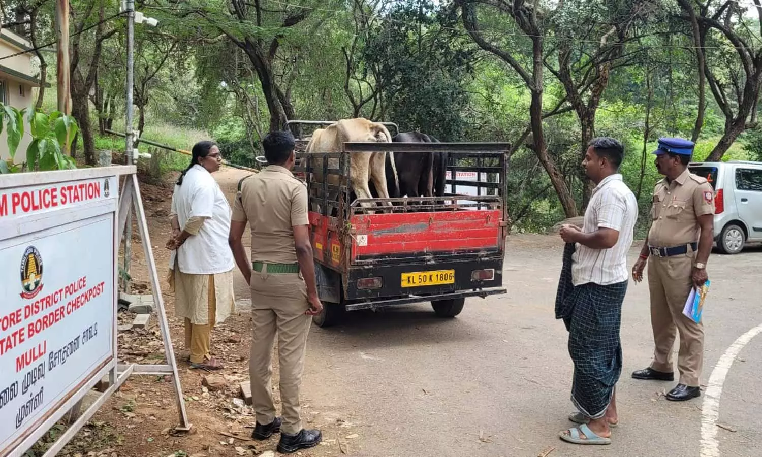 ஆப்பிரிக்கன் பன்றிக்காய்ச்சல் பரவல்: கோவை, நீலகிரி மாவட்ட எல்லைகளில் வாகனங்களுக்கு கிருமி நாசினி தெளிப்பு