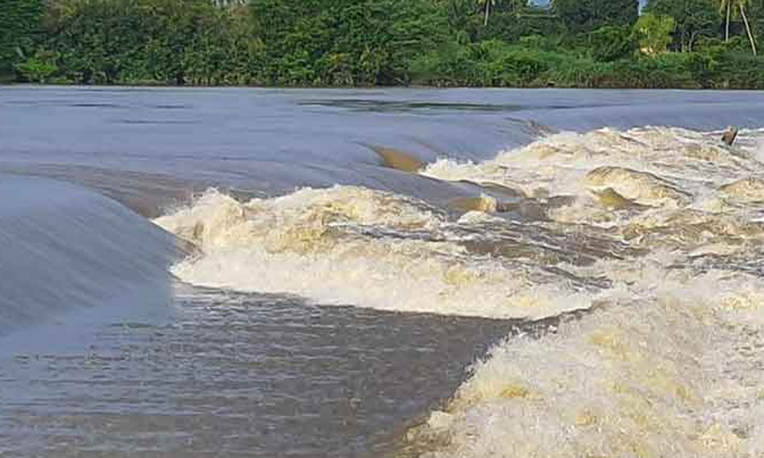 புதுச்சேரி சங்கராபரணி ஆற்றில் வெள்ளப்பெருக்கு - கரையோர கிராம மக்களுக்கு கலெக்டர் எச்சரிக்கை