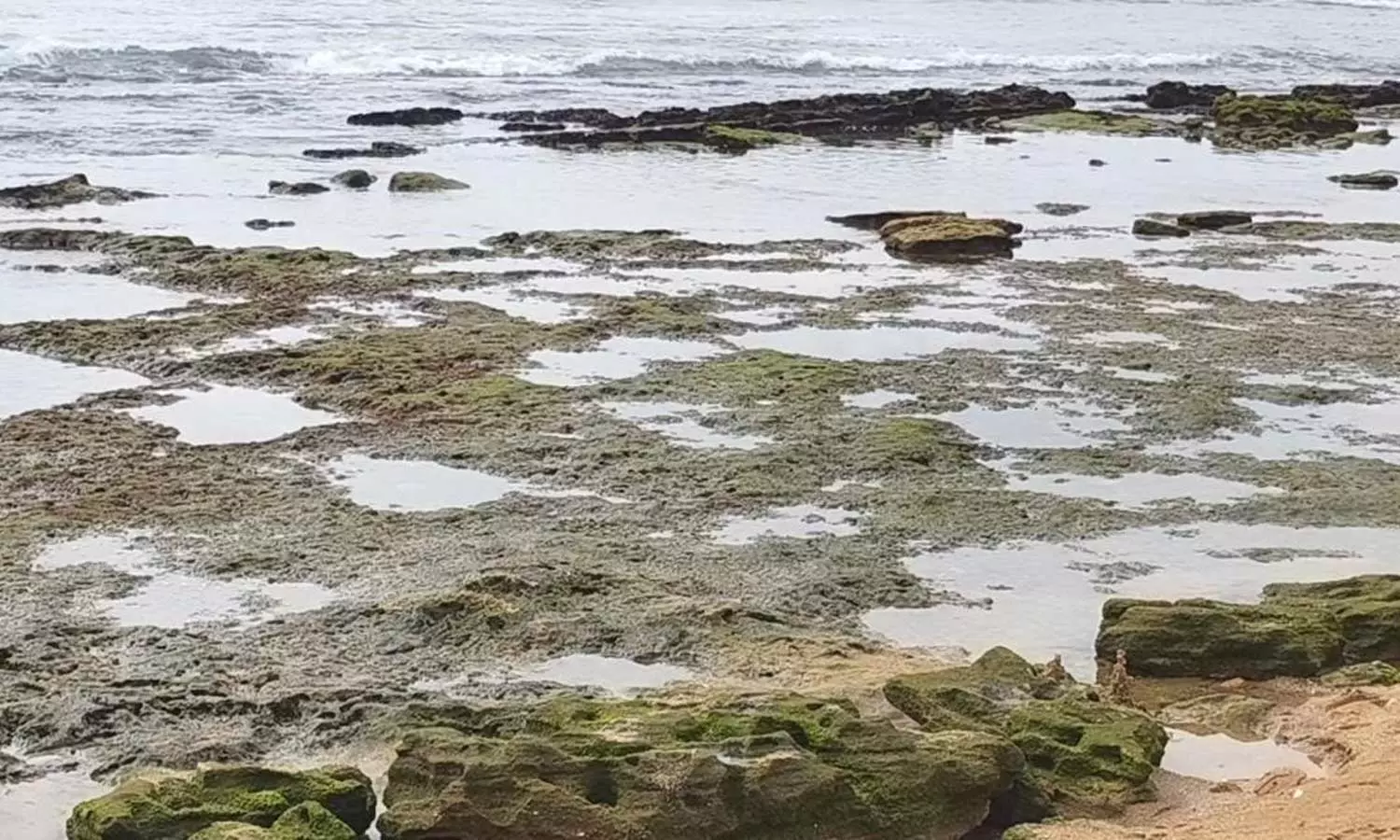 திருச்செந்தூரில் திடீரென 100 அடி உள்வாங்கிய கடல்