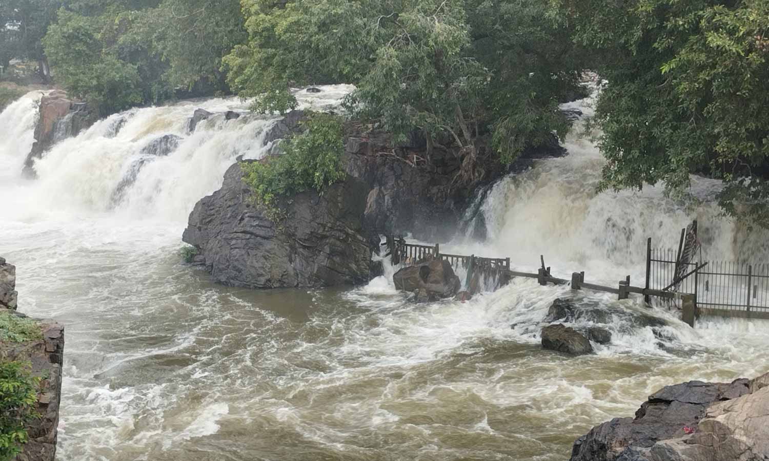 நீர்வரத்து 24 ஆயிரம் கனஅடியாக அதிகரிப்பு: ஒகேனக்கல் அருவியில் குளிக்க தடை