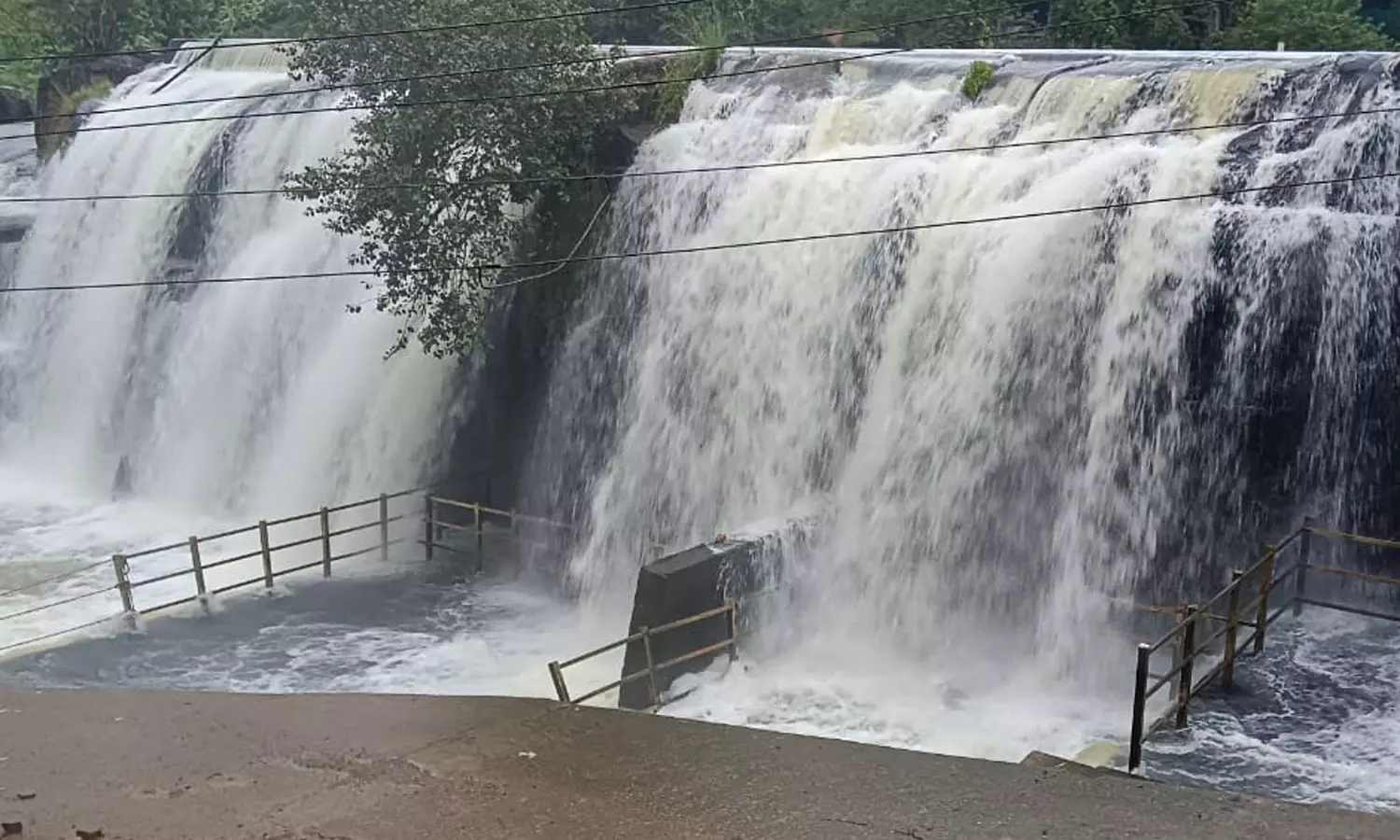 குமரி மாவட்டத்தில் பரவலாக மழை- திற்பரப்பு அருவியில் குளிக்க தடை
