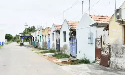 பறவைகளுக்காக பட்டாசு வெடிக்காமல் தீபாவளி கொண்டாடிய நஞ்சராயன்குளம் பகுதி மக்கள்
