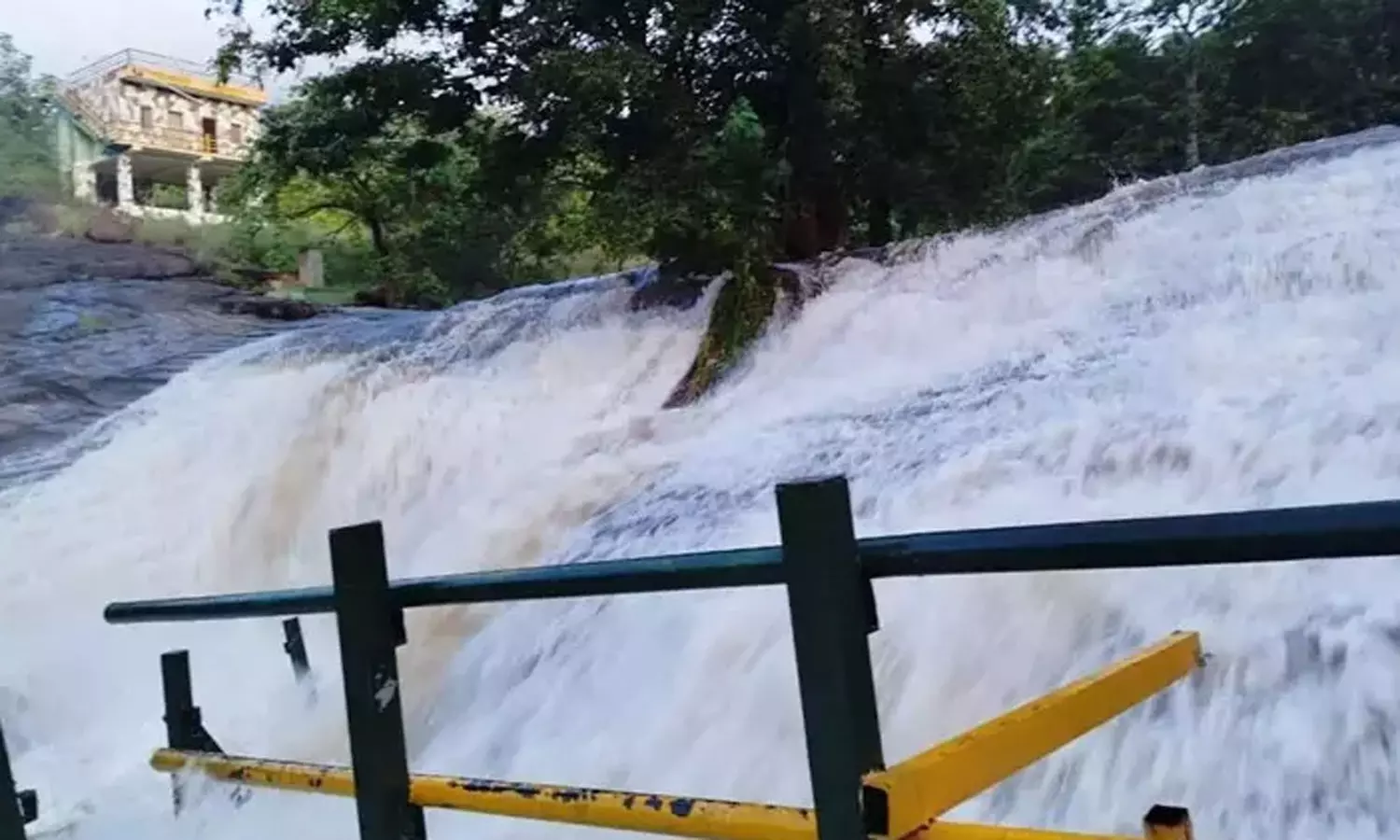 வைகை அணையில் இருந்து 3073 கனஅடி வெளியேற்றம்- சுருளி, கும்பக்கரையில் தொடர் வெள்ளப்பெருக்கு