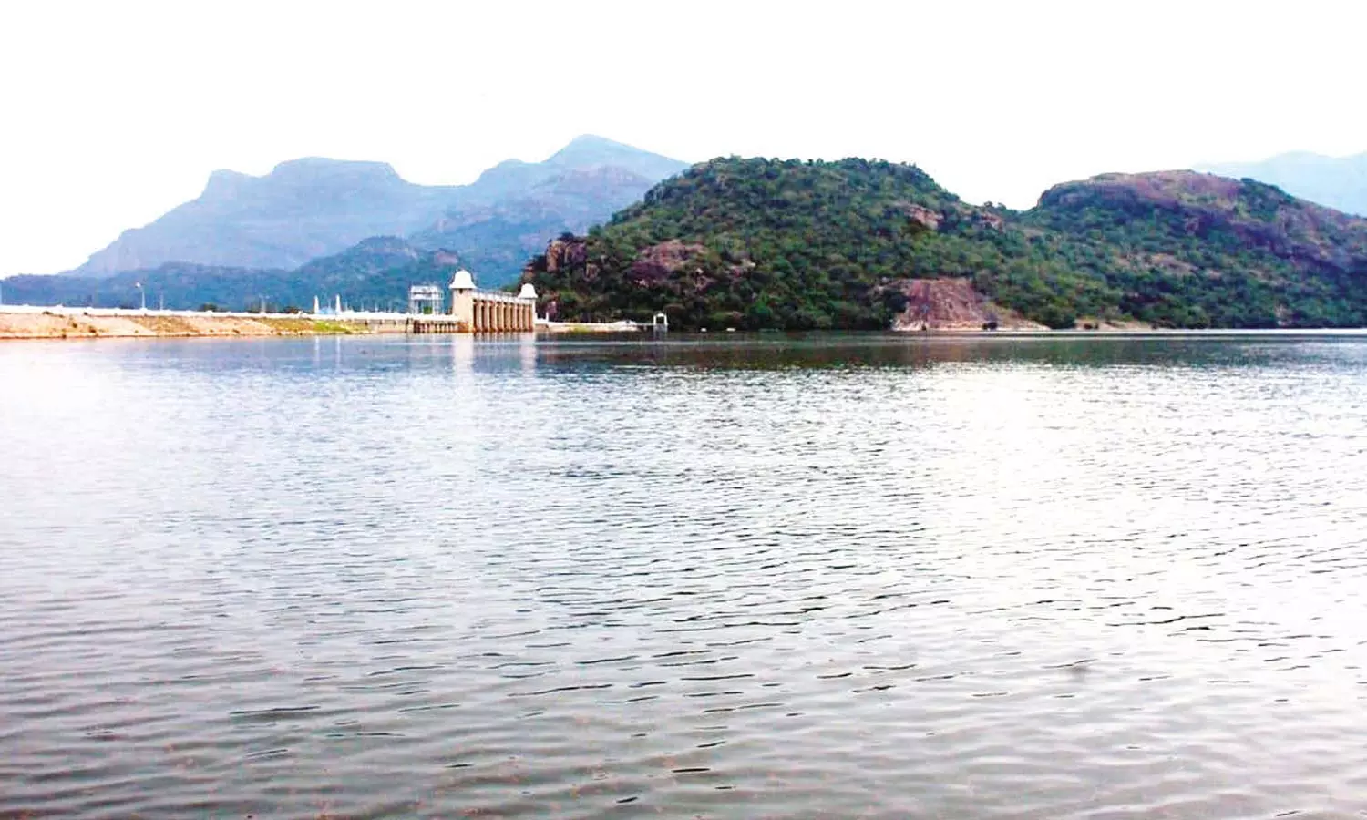 திருப்பூர் மாவட்டத்தில் தொடர் மழை: வேகமாக உயரும் அமராவதி- திருமூர்த்தி அணைகளின் நீர்மட்டம்