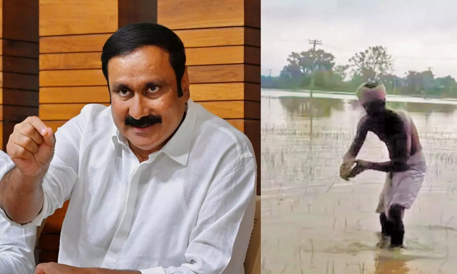 தொடர் மழையால் 2 லட்சம் ஏக்கரில் பயிர்கள் மூழ்கின- ஆய்வு செய்து இழப்பீடு வழங்க வேண்டும்!- அன்புமணி