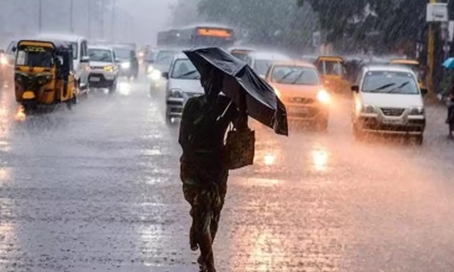 கனமழை எதிரொலி: கிருஷ்ணகிரி மாவட்டத்திற்கு உதவி எண்கள் அறிவிப்பு கனமழை எதிரொலி: கிருஷ்ணகிரி மாவட்டத்திற்கு உதவி எண்கள் அறிவிப்பு