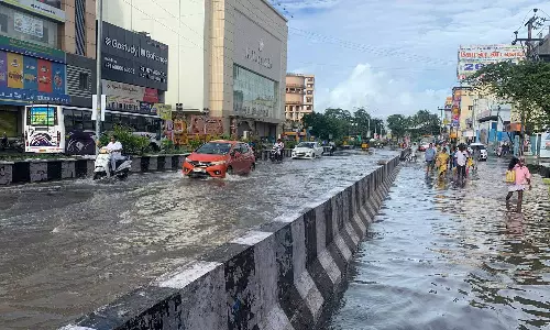 விடிய விடிய கொட்டி தீர்த்த கனமழை- புதுச்சேரியில் 200 ஏக்கர் விளை நிலங்கள் நீரில் மூழ்கியது