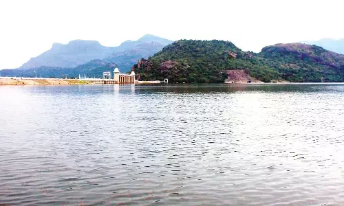 திருப்பூர் மாவட்டத்தில் தொடர் மழை: வேகமாக உயரும் அமராவதி- திருமூர்த்தி அணைகளின் நீர்மட்டம்