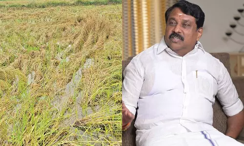 பாதிப்புக்குள்ளான நெற்பயிர்களுக்கு ஏக்கர் ரூ.50,000 வீதம் நிவாரணம் வழங்குக- நயினார் நாகேந்திரன்