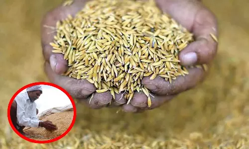 நெல் ஈரப்பதத்தை 22% ஆக உயர்த்த தமிழ்நாடு அரசு கோரிக்கை - மத்திய அரசு குழு அமைப்பு