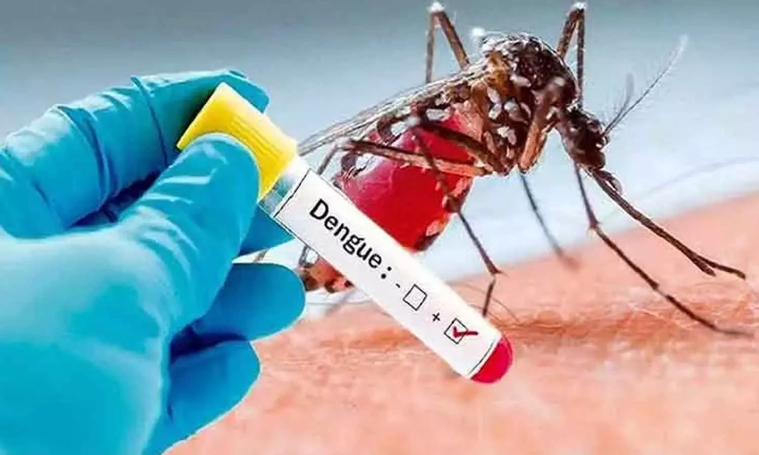 டெங்கு எனும் வில்லன் டெங்கு எனும் வில்லன்