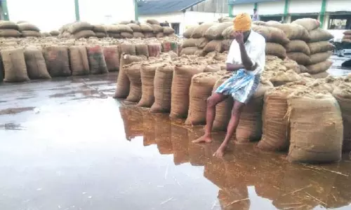 நெல் மூட்டைகள் சேதம்: தொடரும் டெல்டா அவலம்.. விழிக்குமா அரசு - என்னதான் தீர்வு?