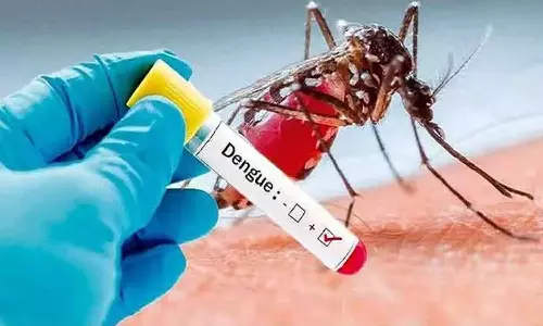 டெங்கு எனும் வில்லன்