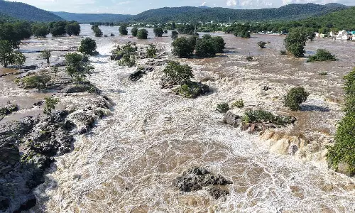 ஒகேனக்கல்லுக்கு நீர்வரத்து 65 ஆயிரம் கனஅடியாக நீடிக்கிறது: அருவிகளில் குளிக்க, பரிசல் இயக்க தடை