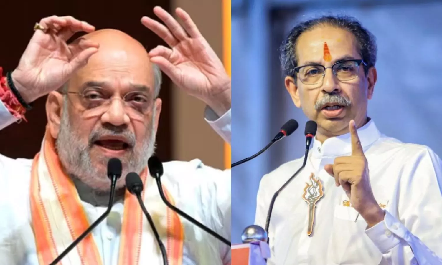 அமித் ஷா ஒரு அனகோண்டா.. மும்பையை விழுங்க முயலும் பாஜக - உத்தவ் தாக்கரே அமித் ஷா ஒரு அனகோண்டா.. மும்பையை விழுங்க முயலும் பாஜக - உத்தவ் தாக்கரே