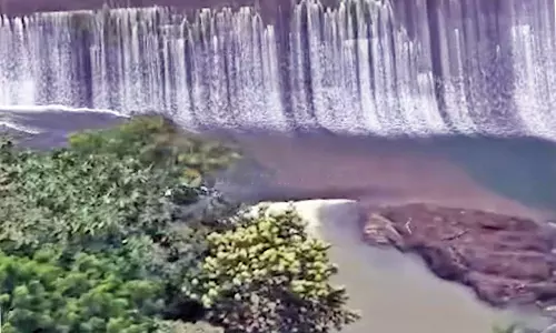 நெல்லையில் இந்த மாதம் 20 சதவீதம் மழை பொழிவு அதிகம்- அடவிநயினார் அணை நிரம்புகிறது