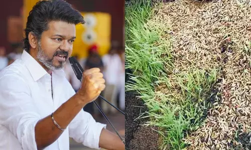 விவசாயிகளின் வயிற்றில் அடிக்கும் தி.மு.க. ஆட்சியாளர்களை வீட்டுக்கு அனுப்பப் போவது உறுதி - விஜய்