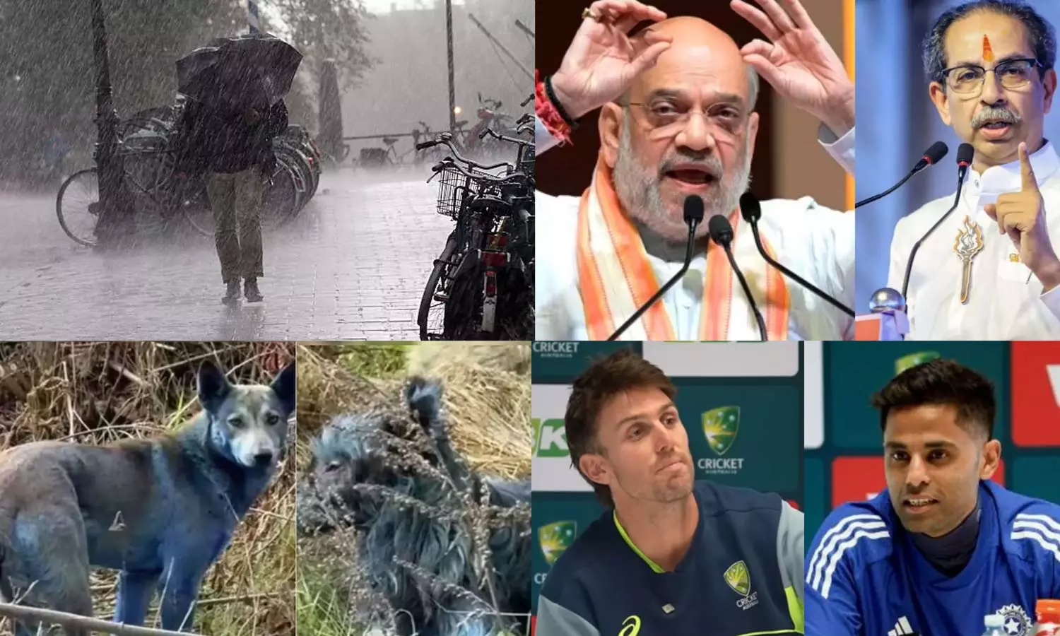 Tamil News Live: இன்றைய முக்கிய செய்திகள்... Tamil News Live: இன்றைய முக்கிய செய்திகள்...