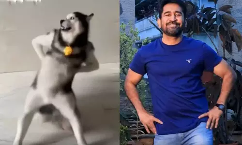 இணையத்தில் வைரலாகி வரும் Husky டேன்ஸ் டிரெண்டில் இணைந்த விஜய் ஆண்டனி