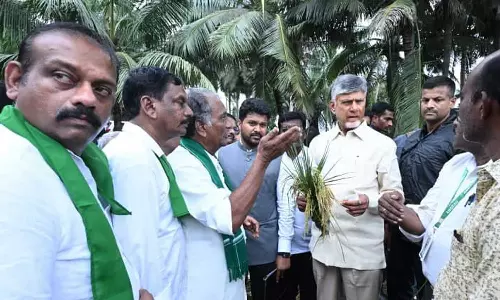 மோன்தா புயலால் ஏற்பட்ட பாதிப்புகளை நேரில் ஆய்வு செய்தார் முதலமைச்சர் சந்திரபாபு நாயுடு