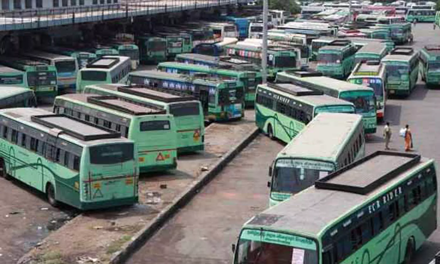 சபரிமலையில் மண்டல பூஜை, மகர திருவிளக்கு: 2 மாதங்களுக்கு சிறப்பு பஸ்கள் இயக்கம்