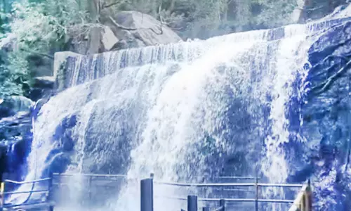 நீர்வரத்து சீரானதால் 13 நாட்களுக்கு பிறகு சுருளி அருவியில் குளிக்க அனுமதி