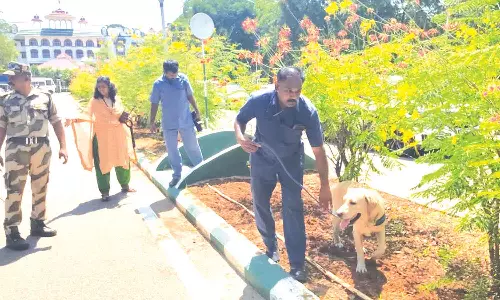 உயர்நீதிமன்ற மதுரை கிளைக்கு மீண்டும் வெடிகுண்டு மிரட்டல்- மோப்ப நாய் உதவியுடன் தீவிர சோதனை