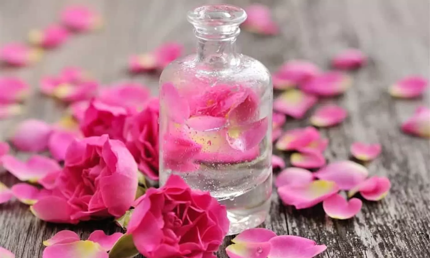 ரோஸ் வாட்டரை முகத்திற்கு மட்டுமல்ல தலைமுடிக்கும் பயன்படுத்தலாம்!