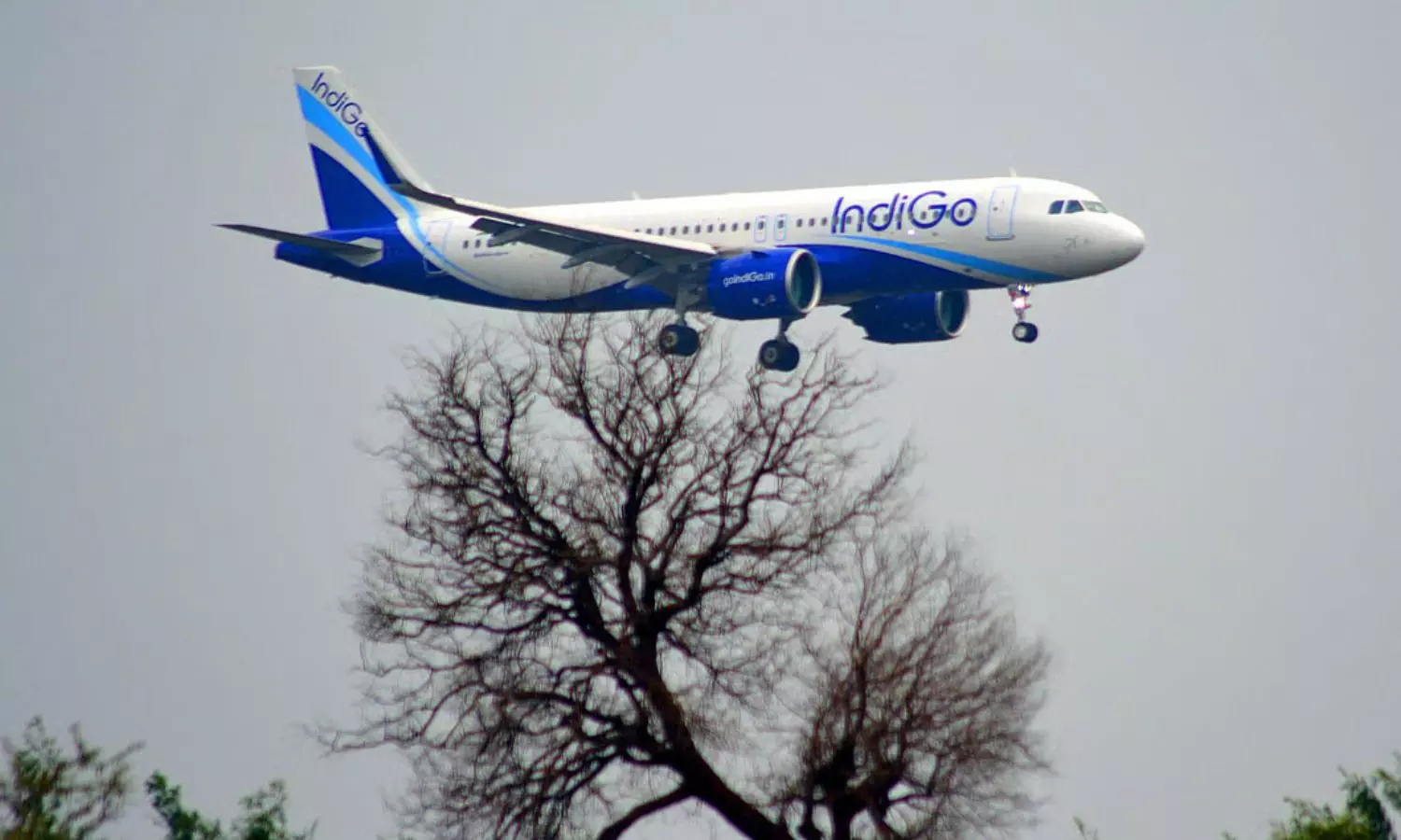 ஐதராபாத் நோக்கி சென்ற இண்டிகோ விமானத்துக்கு வெடிகுண்டு மிரட்டல்.. மும்பையில் அவசர தரையிறக்கம்