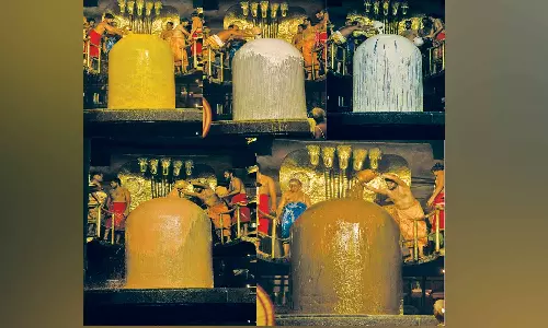 தஞ்சை பெரிய கோவிலில் 48 வகையான பொருட்களால் பெருவுடையாருக்கு பேரபிஷேகம்- ஆயிரக்கணக்கான பக்தர்கள் தரிசனம்