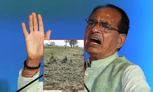 ஒரு ரூபாய் பயிர் இழப்பீடு வழங்கிய இன்சூரன்ஸ் நிறுவனங்கள்: விவசாயிகளின் புகாருக்கு மத்திய அமைச்சரின் ரியாக்ஷன்