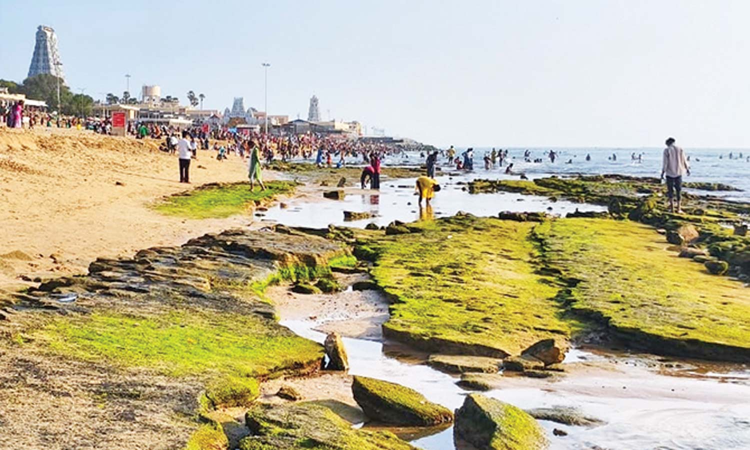 பவுர்ணமி நாளான இன்று திருச்செந்தூர் கடல் 100 அடி உள்வாங்கியது