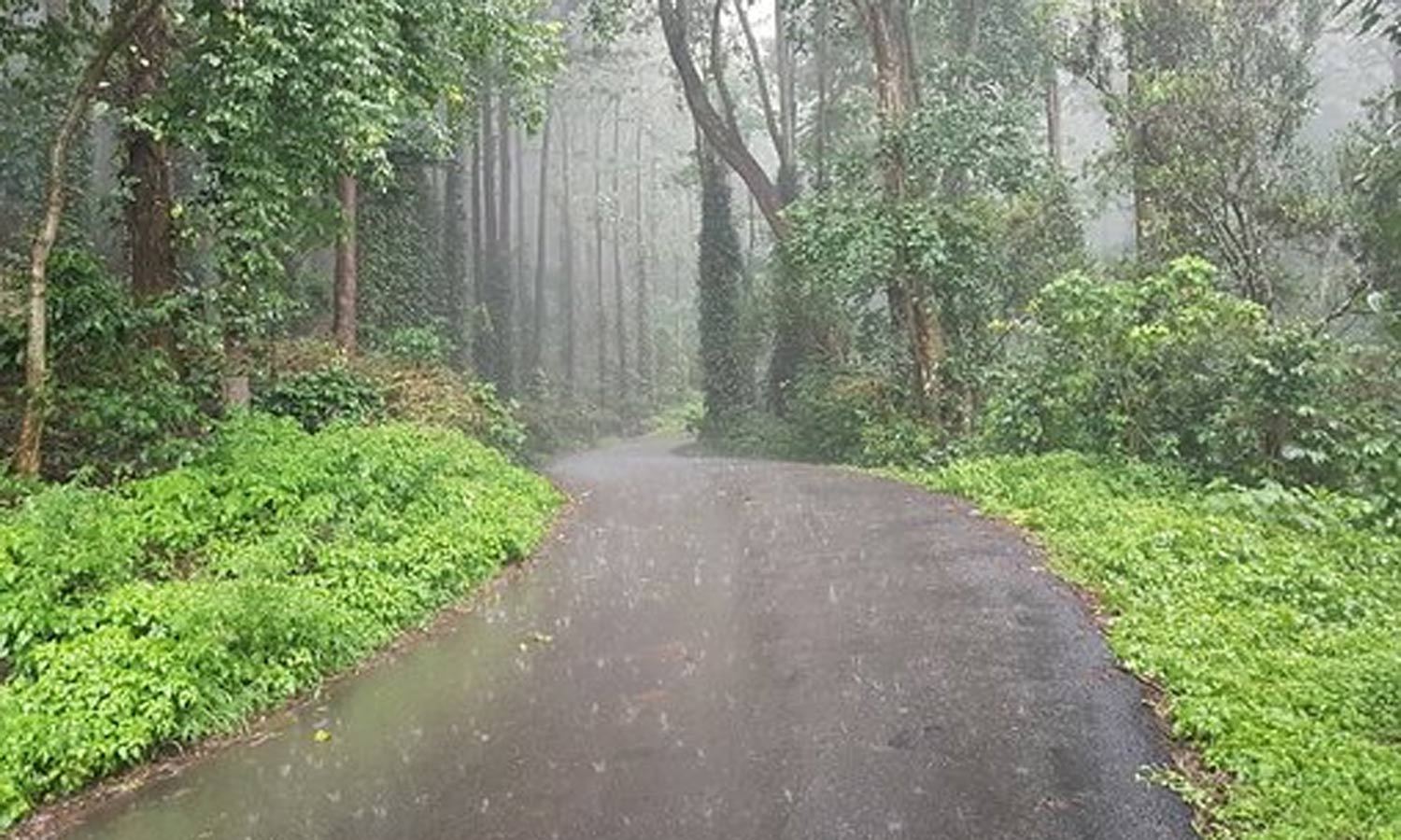 விடிய விடிய சாரல் மழை- ஏற்காட்டில் கடும் குளிரால் மக்கள் அவதி