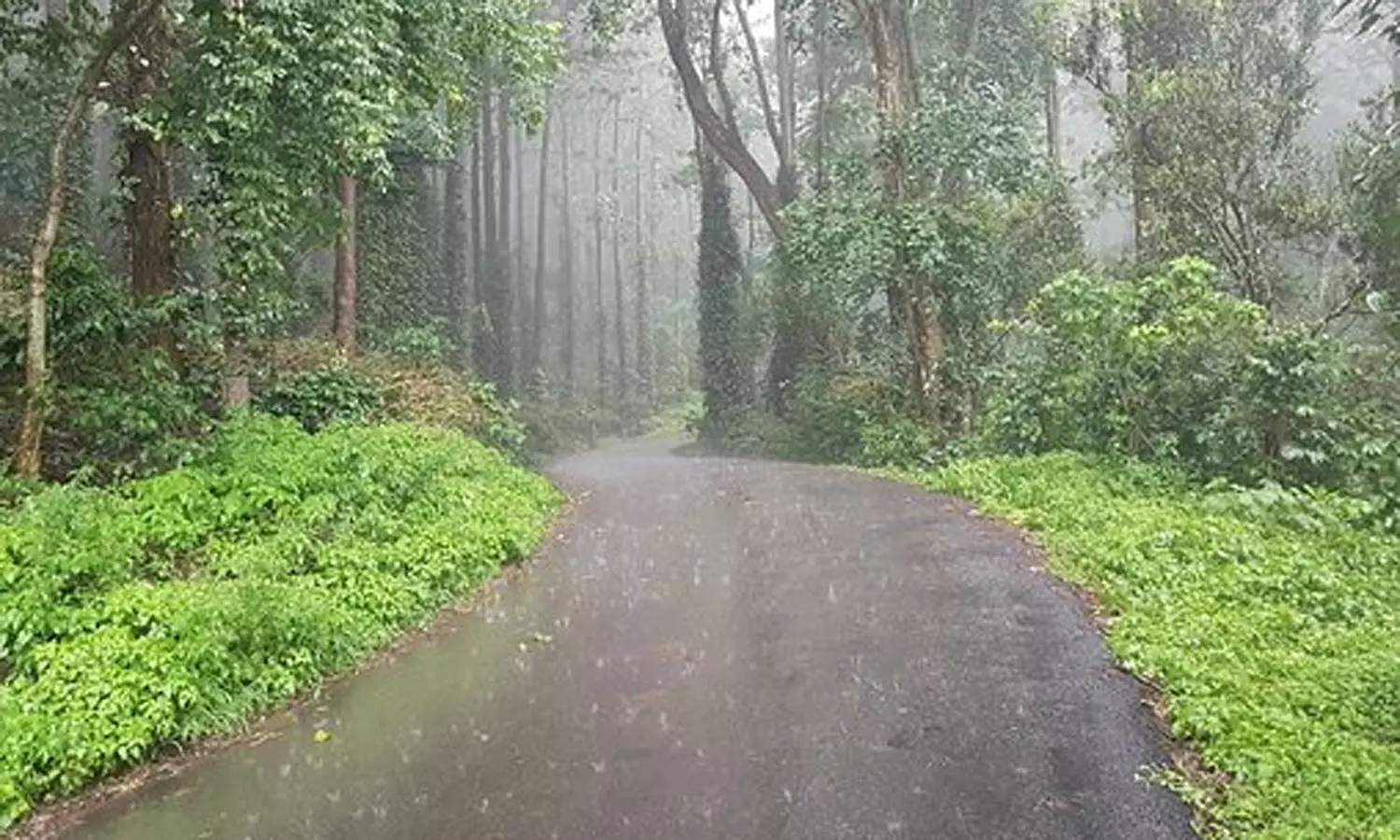 விடிய விடிய சாரல் மழை- ஏற்காட்டில் கடும் குளிரால் மக்கள் அவதி