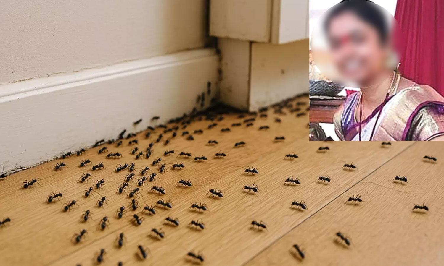 பார்த்தாலே அலறும் வினோத நோய்- எறும்புக்கு பயந்து இளம்பெண் தற்கொலை