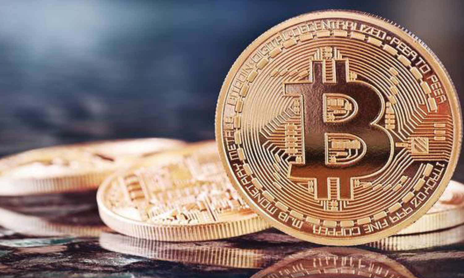 சிட்பண்டு- கிரிப்டோ கரன்சி சேமிப்பு பலன் தருமா?