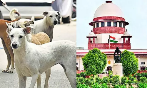 பேருந்து நிலையங்களில் இருந்து நாய்களை அப்புறப்படுத்த வேண்டும்- உச்சநீதிமன்றம் உத்தரவு