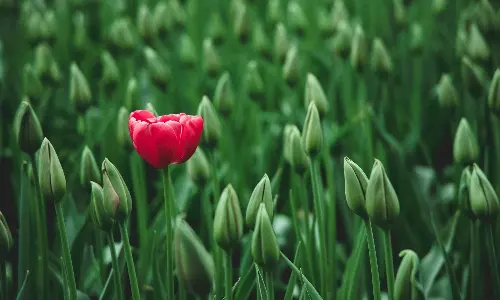 நான் தனித்துவமாக தெரியவேண்டும் - என்ன செய்ய வேண்டும்?