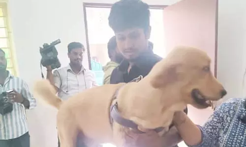 வளர்ப்பு நாய்களுக்கு மைக்ரோசிப் பொருத்தாவிட்டால் ரூ.5 ஆயிரம் அபராதம்- பதிவு செய்ய இன்று 6 இடங்களில் சிறப்பு முகாம்