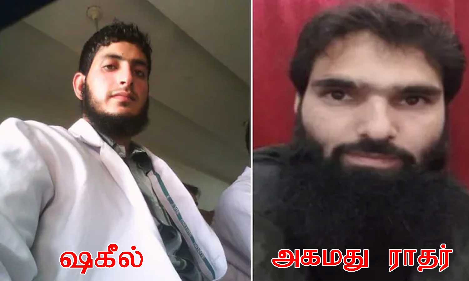 பயங்கரவாதிகளுடன் தொடர்பில் இருந்த காஷ்மீர் டாக்டர் பதுக்கி வைத்திருந்த 2500 கிலோ வெடிமருந்து சிக்கியது