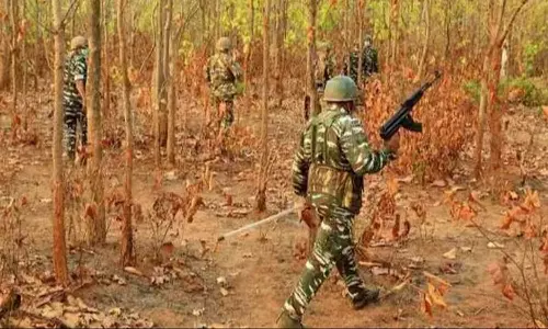 சத்தீஸ்கரில் 6 நக்சலைட்டுகள் சுட்டுக்கொலை