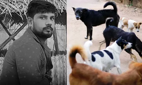 நெல்லையில் நாய் கடித்து ரேபிஸ் பாதித்த இளைஞர் பரிதாபமாக உயிரிழப்பு