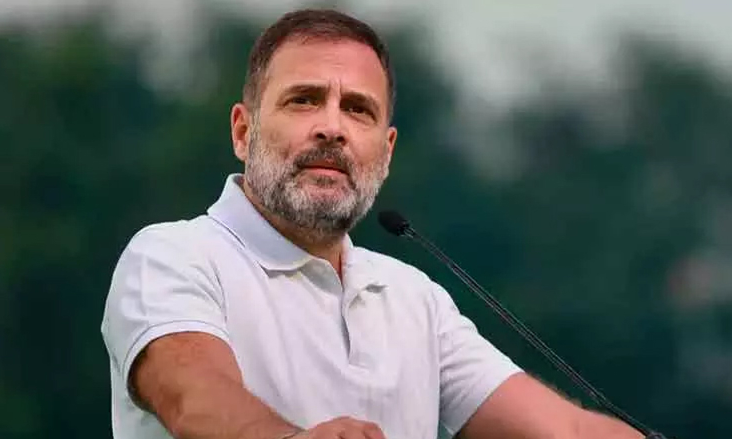 பீகாரில் மோசமான தோல்வி: காங்கிரஸ் அவசர ஆலோசனை- ராகுல் காந்தி பங்கேற்பு