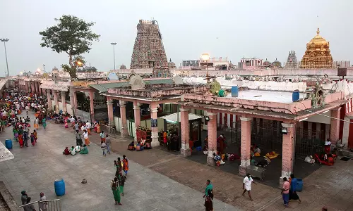 பழனி கோவிலில் தரக்குறியீடு பெற்ற பால் மட்டுமே அபிஷேகத்திற்கு பயன்படுத்தப்படும்- தேவஸ்தானம் அறிவிப்பு