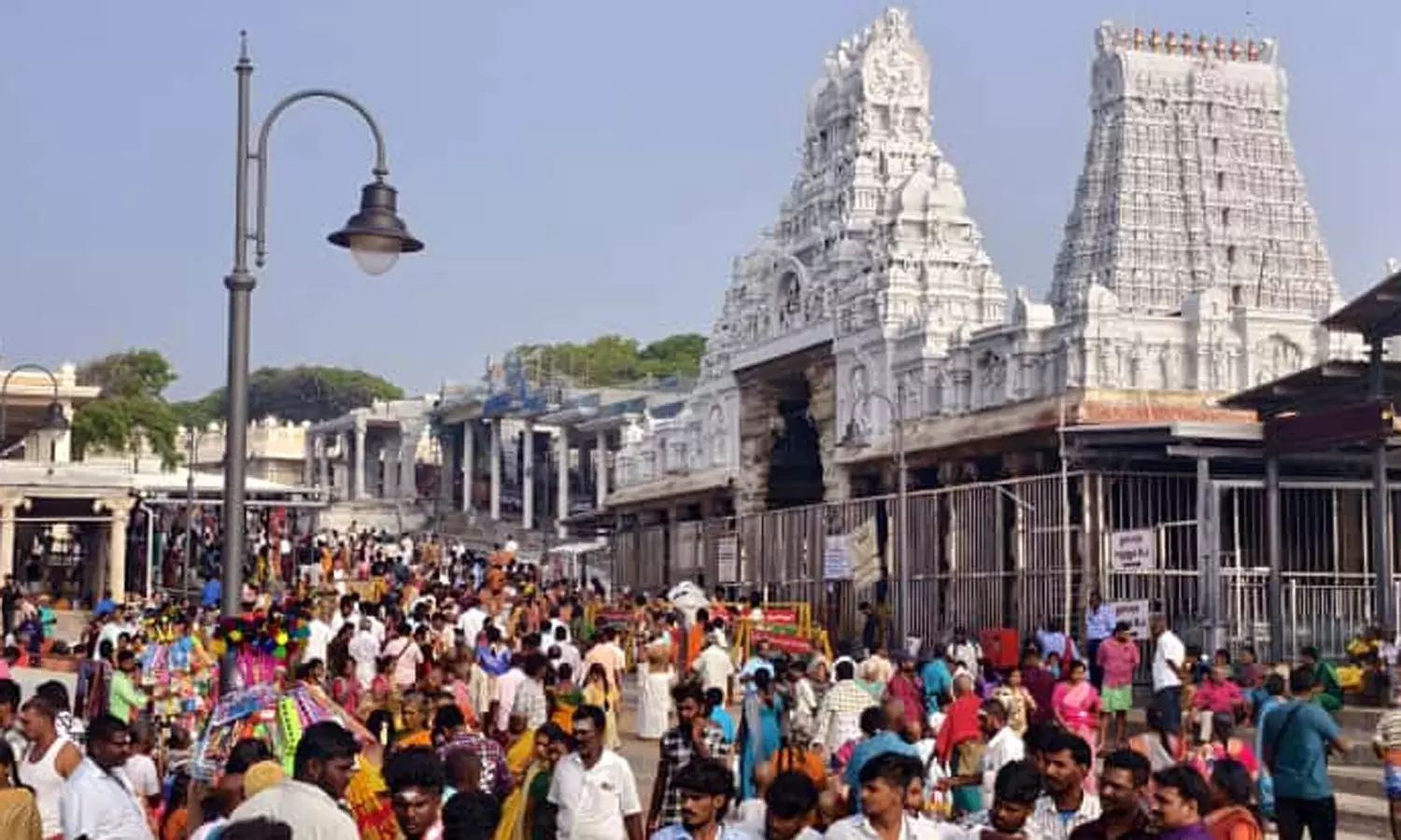 திருச்செந்தூர் கோவிலில் அலைமோதிய பக்தர்கள்- 5 மணி நேரம் காத்திருந்து சாமி தரிசனம் திருச்செந்தூர் கோவிலில் அலைமோதிய பக்தர்கள்- 5 மணி நேரம் காத்திருந்து சாமி தரிசனம்