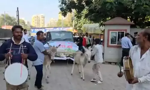 VIDEO: புதிய காரை கழுதைகளை வைத்து இழுத்து நூதன போராட்டம்