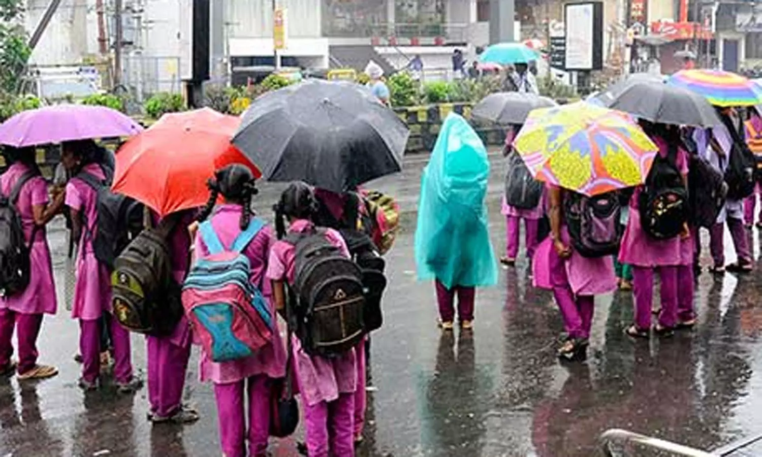 கனமழை - மதுரை, கடலூர் மாவட்ட பள்ளிகளுக்கு விடுமுறை அறிவிப்பு கனமழை - மதுரை, கடலூர் மாவட்ட பள்ளிகளுக்கு விடுமுறை அறிவிப்பு