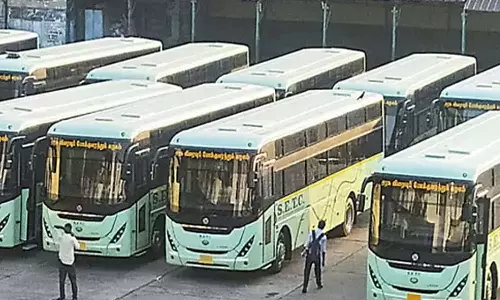 கார்த்திகை தீபத்திருவிழா: திருவண்ணாமலைக்கு சிறப்பு அரசு சொகுசு பஸ்கள் இயக்கம்- முழு விவரம்