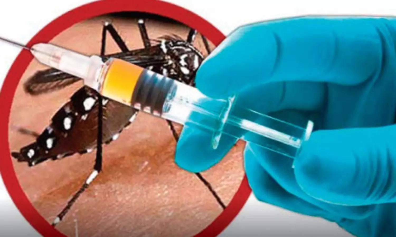 உலகிலேயே முதல் முறை.. ஒரு டோஸ் போதும் - புதிய டெங்கு தடுப்பூசி பிரேசிலில் அறிமுகம் உலகிலேயே முதல் முறை.. ஒரு டோஸ் போதும் - புதிய டெங்கு தடுப்பூசி பிரேசிலில் அறிமுகம்